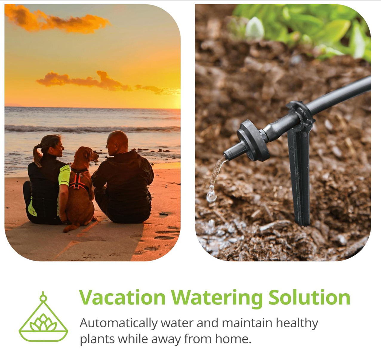 Raindrip R560DP Automatic Watering Kit for Container and Hanging Baskets, Water