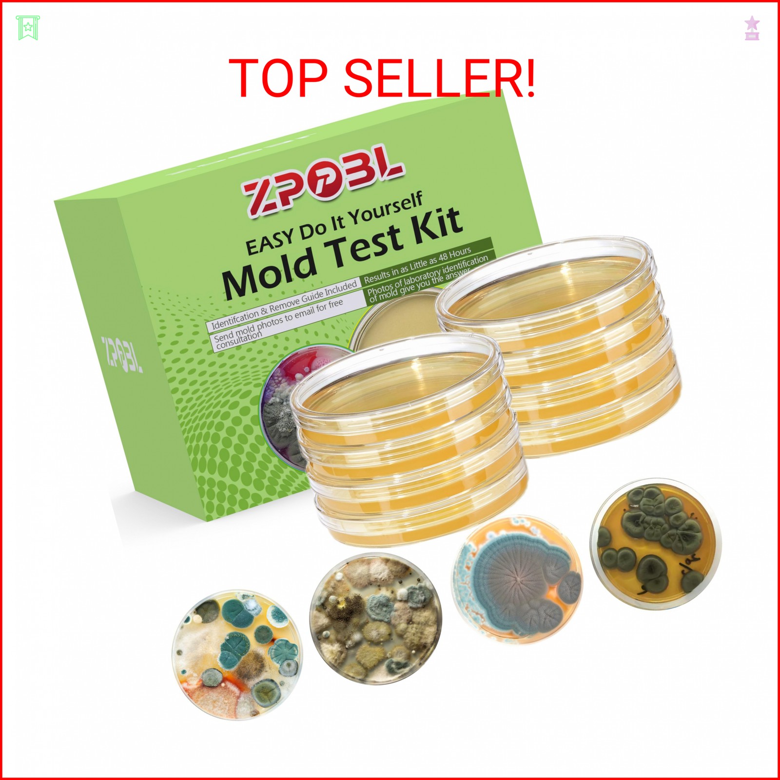 Mold Test Kit for Home, 8 Detection Tests for HVAC, Surfaces & Indoor Air Qualit