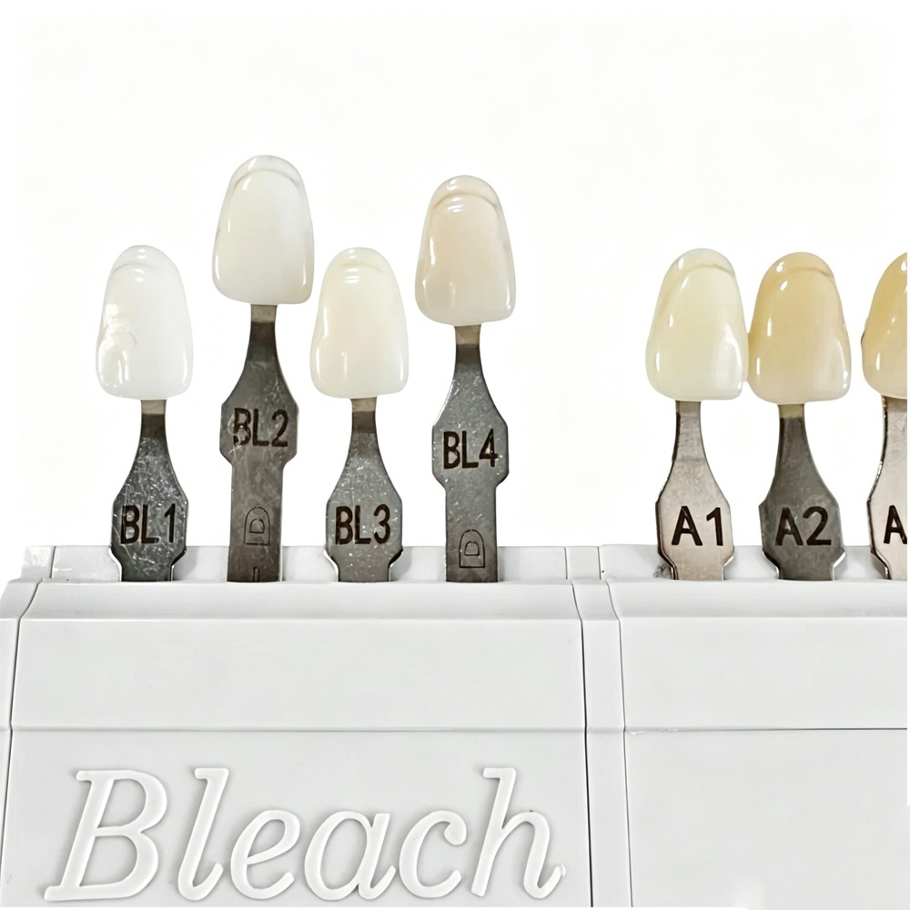 1/2 Set For VITA Classical Dental Shade Guide with Bleached Shades Clip New