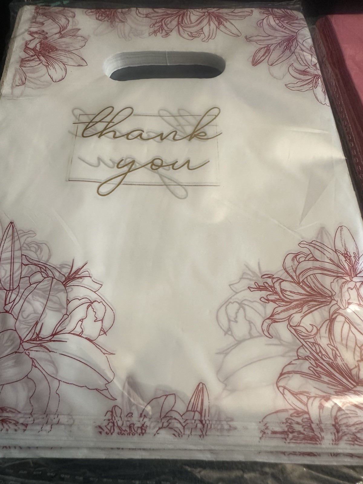 5.9×7.9in-5.91×7.8 inPlastic Gift Bags with Handles for Jewelry, Retail Business
