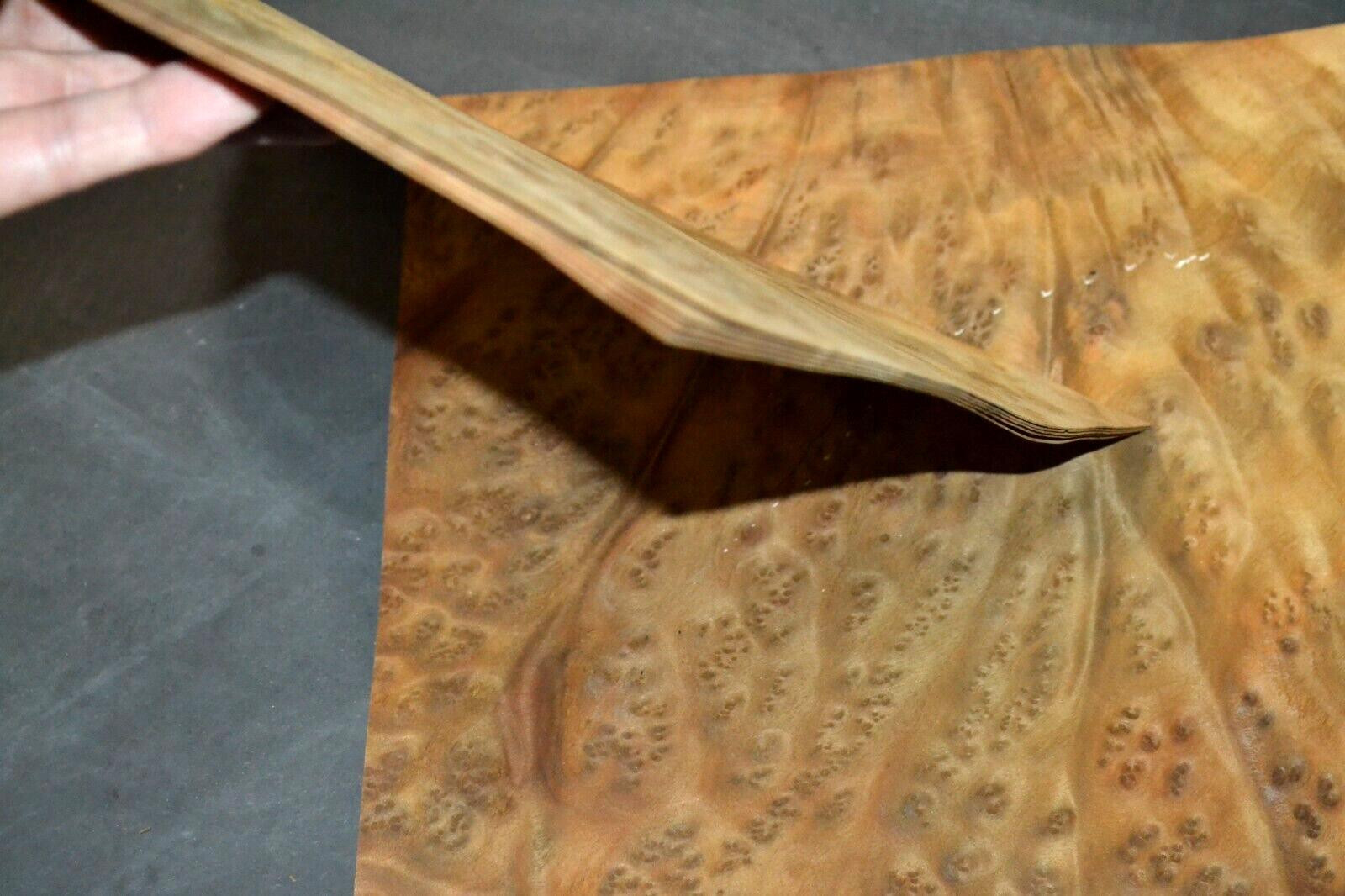 Camphor Burl Raw Wood Veneer Sheet 12 x 12 inches 1/42nd thick 4672-81
