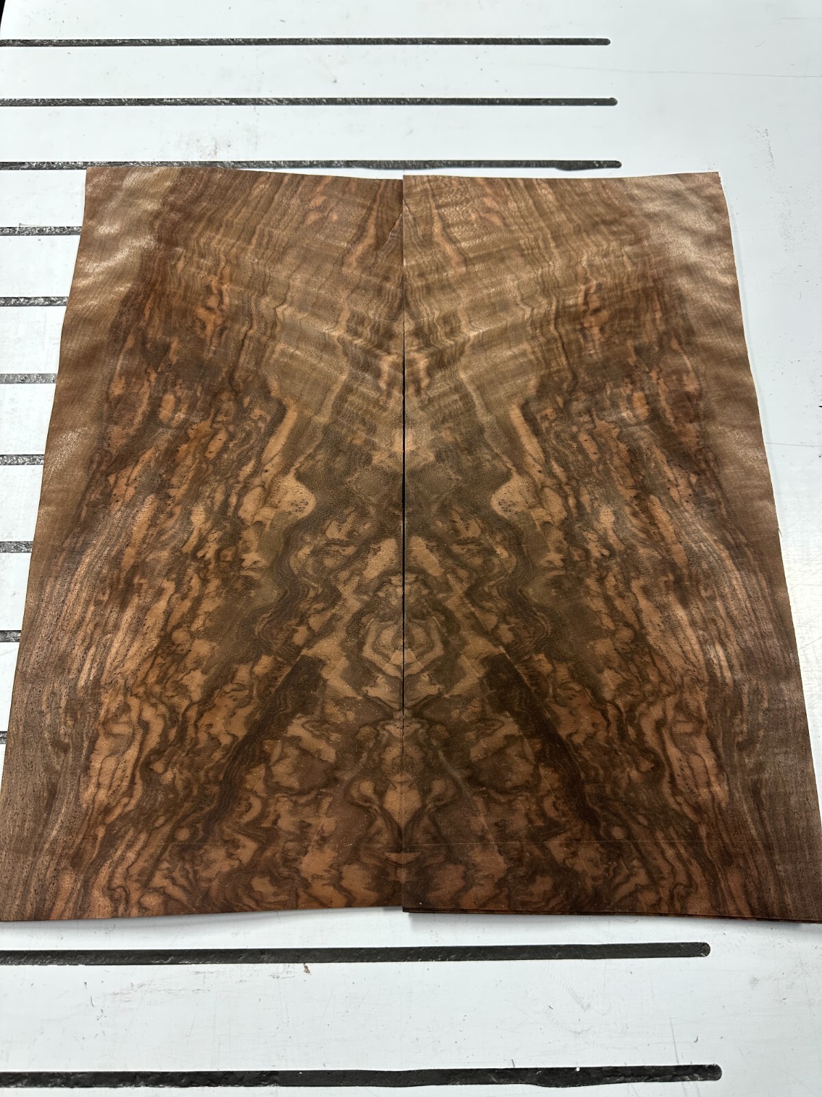 European Walnut Burl Raw Wood Veneer 2 sheets 16.5» x 7.5» 331DD