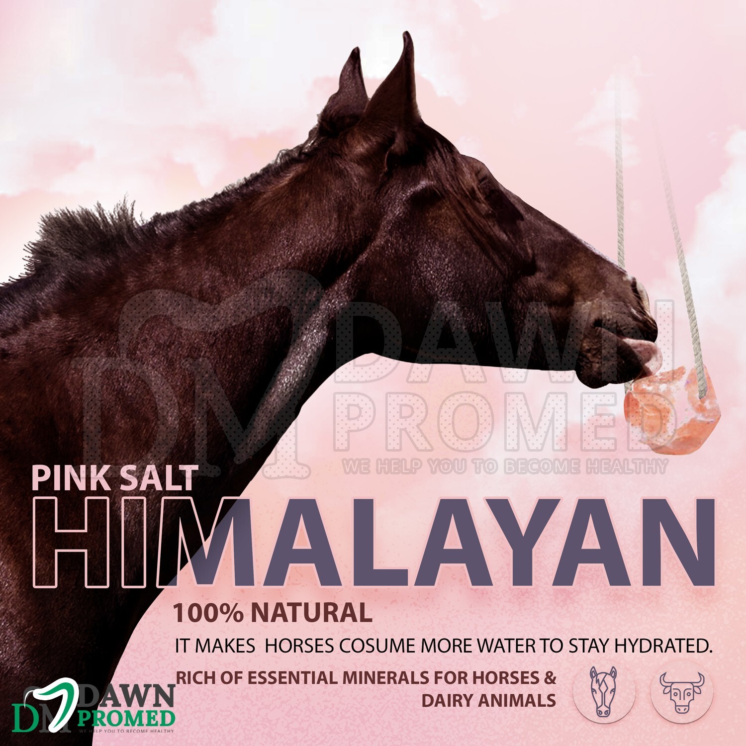 8 Pcs Himalayan Nature 100% Natural Salt Lick Block for Animal Wellness 6.5-8 Lb