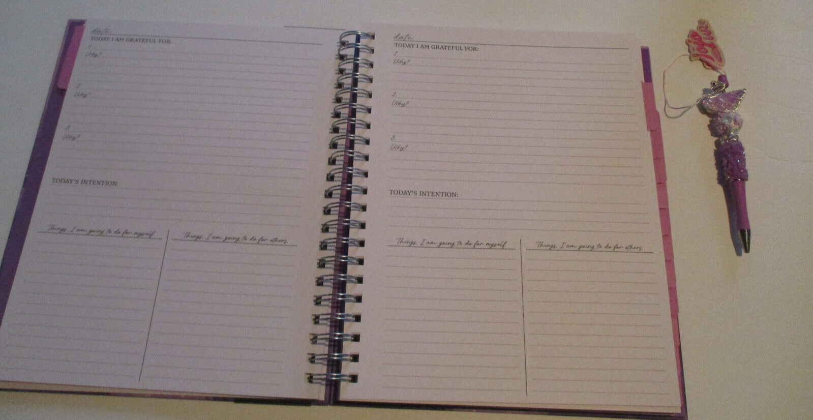 Pembrook Gratitude Planner & Pen Women GIFT SET Stickers Journal Diary Health
