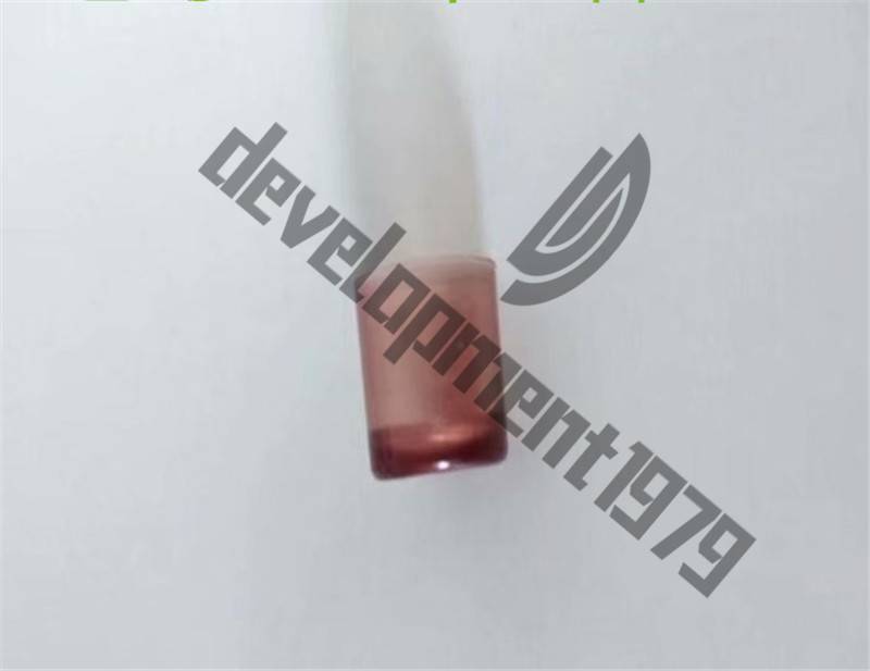 New 200Pcs Brown Beekeepers Bee Queen Royal Beekeeping Raise Rearing Cell Cup