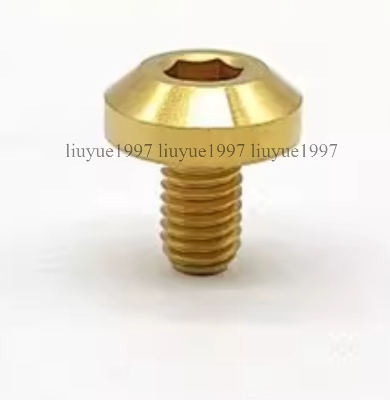 Titanium Bolt M6 M8 Hex Head Ti Screw for Bike Motorcycle 12 15 20 25 30 35 40mm