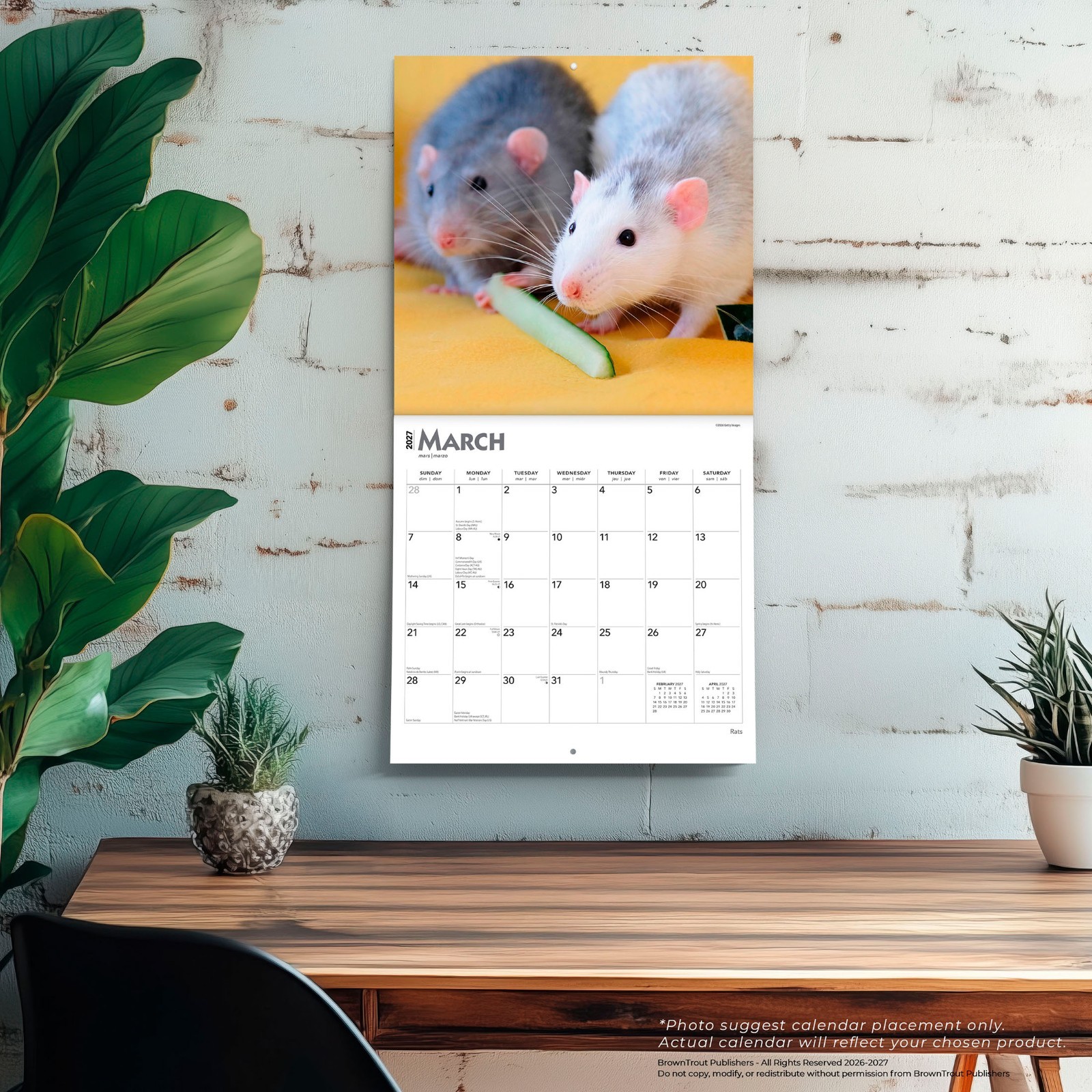 Rats | 2027 12×24″ (Hanging) Monthly Square Wall Calendar | Plastic-Free