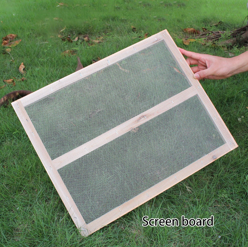 Auto Drain Honey Bee Hive Bee Boxes Beehive Starter Kit +7 Beekeeping Frames New