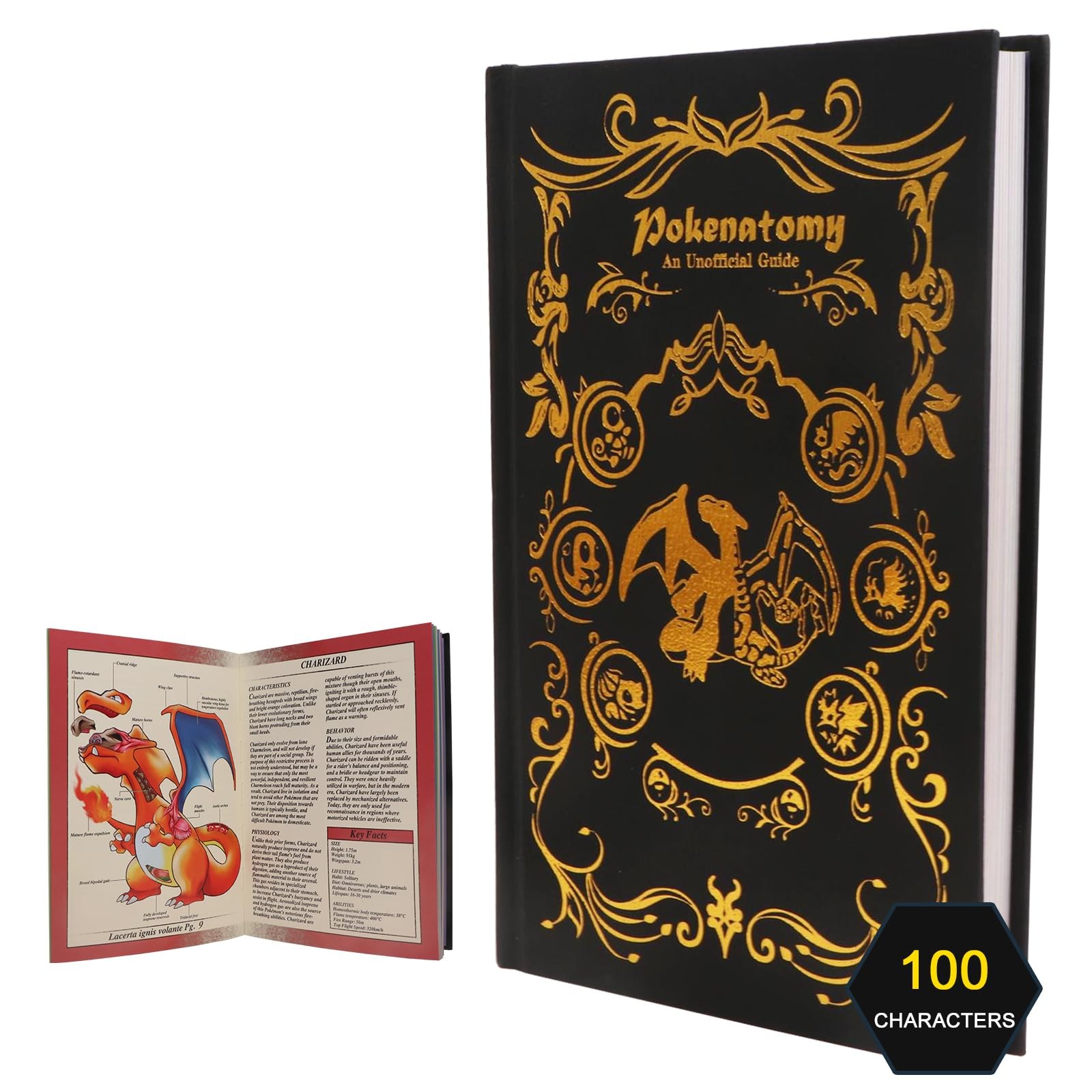 Pokenatomy Envelopes Binder Christmas Birthday Gifts Fans Kids Adults