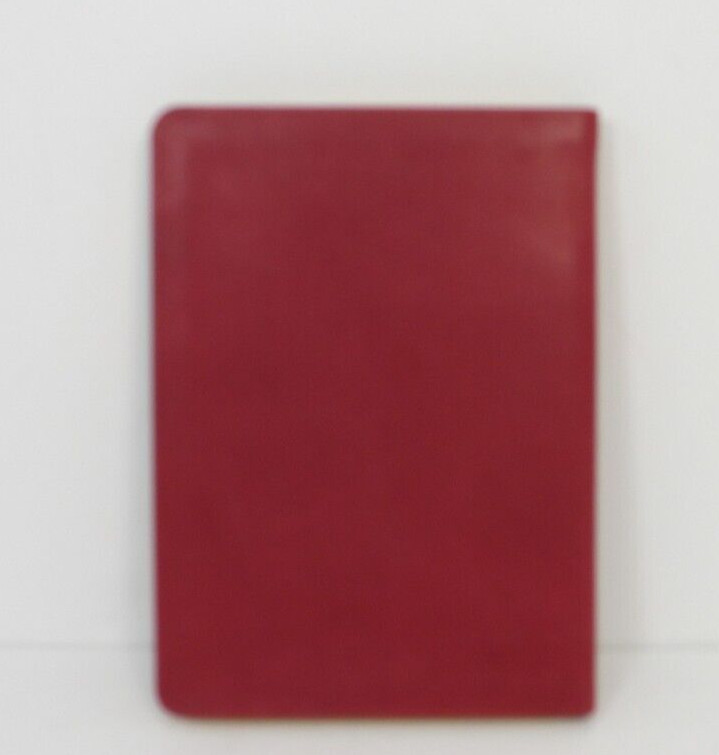 Journal Diary Leather 7″ Soft Cover 224 Lined Pages Graphic Image $70 Cranberry