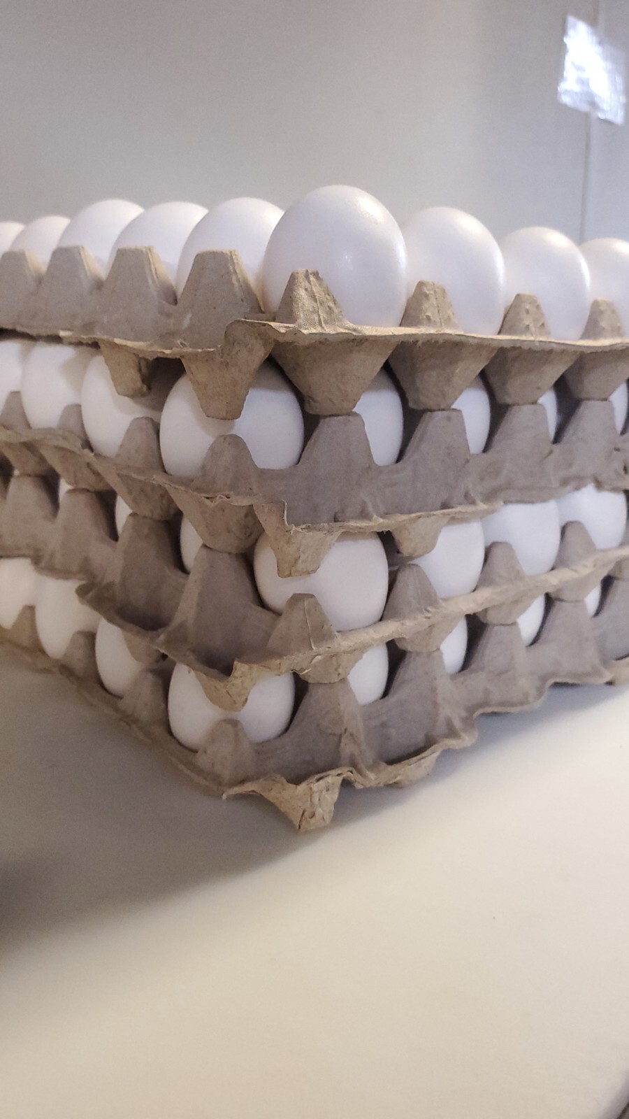 30-Cell Stackable Egg Crates, Pulp Fiber 50pack, Cartones de huevo