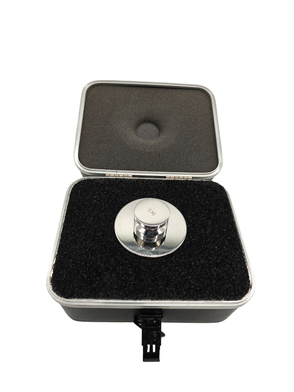 5kg Rice Lake Calibration Test Weight with Carry Case – Weighing Systems | NEW