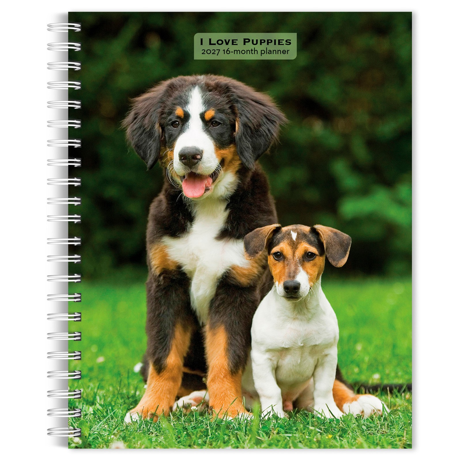 I Love Puppies | 2027 6×7.75″ Spiral-Bound Wire-O Engagement Planner Calendar