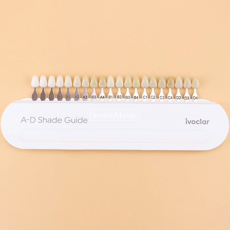 Ivoclar Vivadent Dental Teeth Shade Guide A-D 20 Colors Porcelain Color Chart