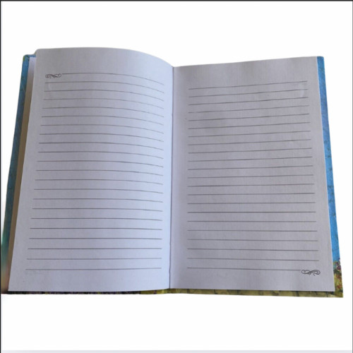 Blank Diaries, Journals, Notebook, Pocketbook, Small Note Pad, Lot of 2 NWOT