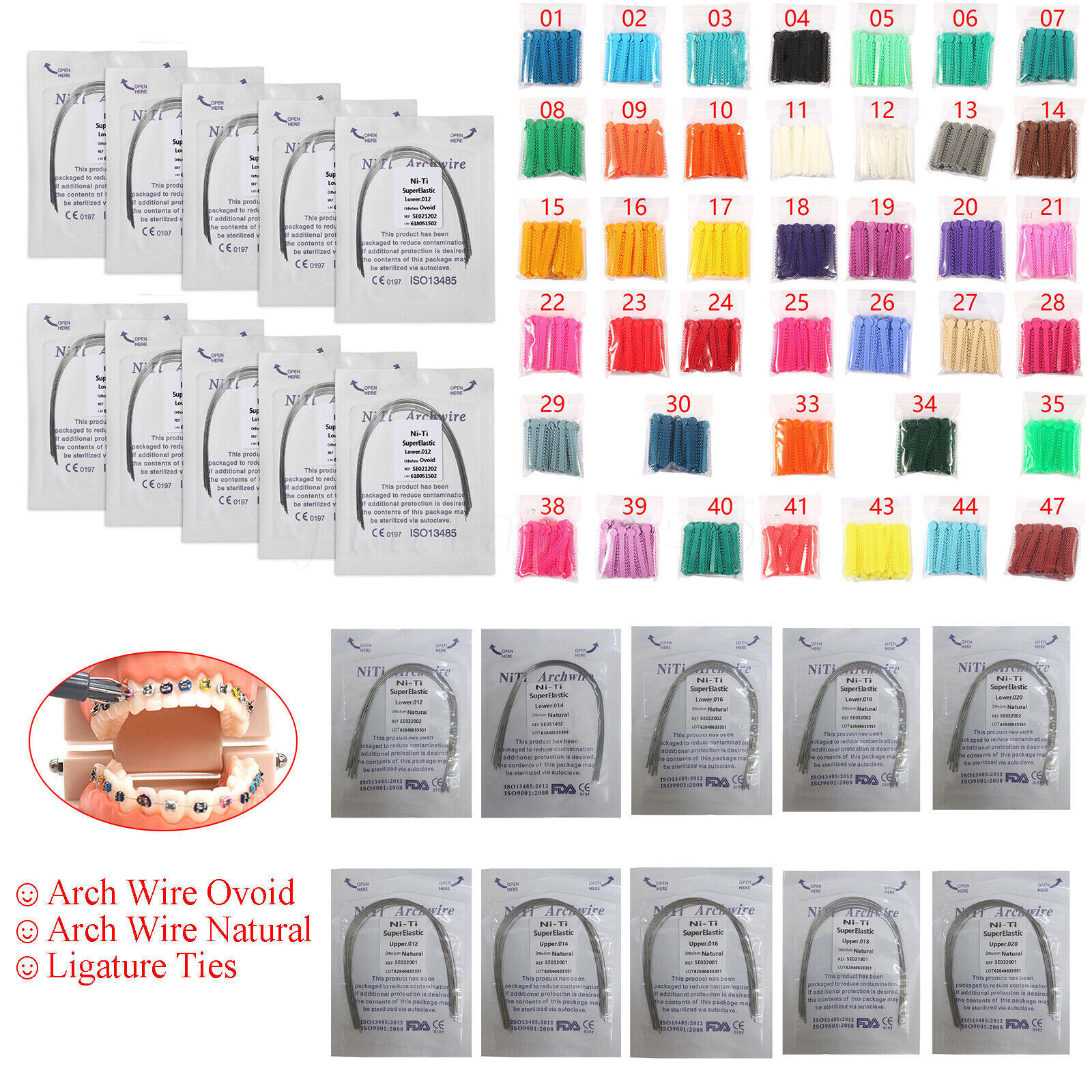 1040pcs Dental Orthodontic Ligature Ties Braces Elastic Rubber Bands 47 Colors