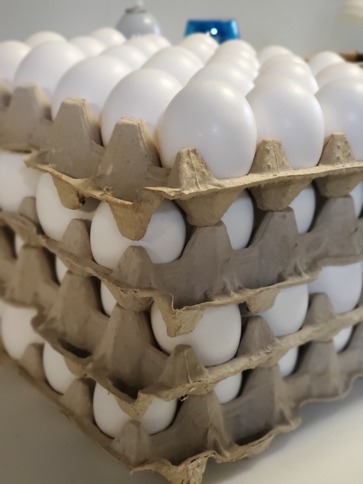 30-Cell Stackable Egg Crates, Pulp Fiber 50pack, Cartones de huevo