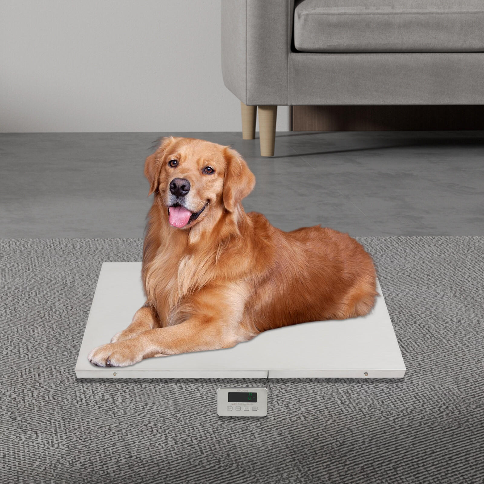700×0.2lb Digital Livestock Scale Large Pet Dog Sheep Goat Scale LED Heavy Duty