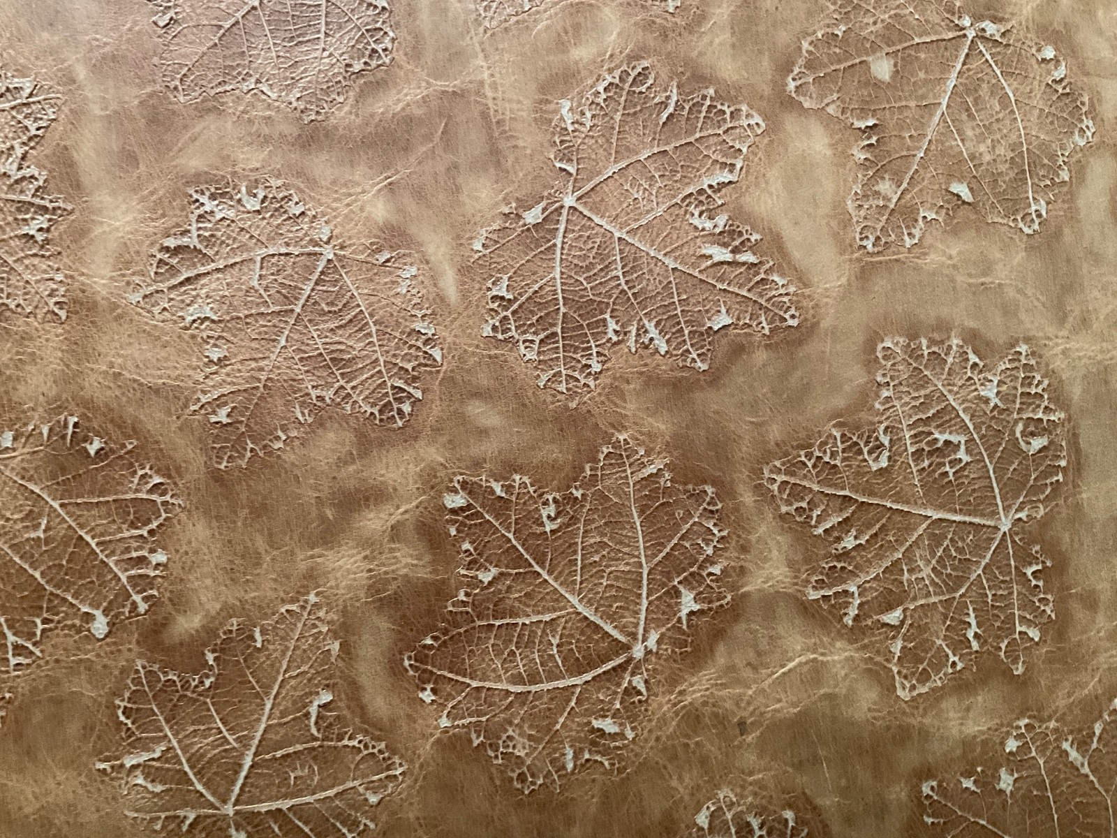 DARK TAN MAPLE LEAF EMBOSSED COWHIDE LEATHER ZIPPER PORTFOLIO