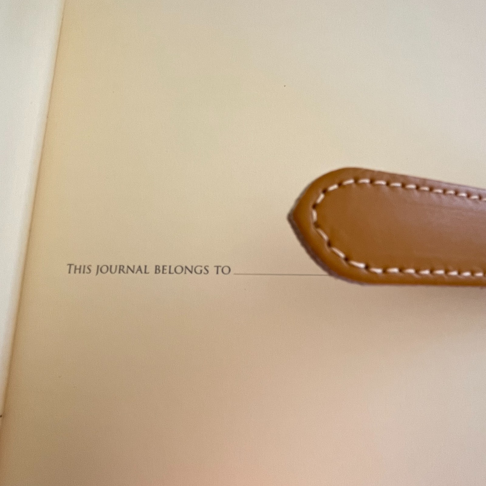 Never Used Barnes & Noble Dark Mustard Yellow Leather Journal Hand Made in Italy
