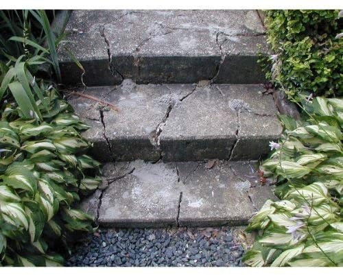 Dexpan Expansive Demolition Grout 11 Lb Bucket Rock Breaking Concrete Cutting