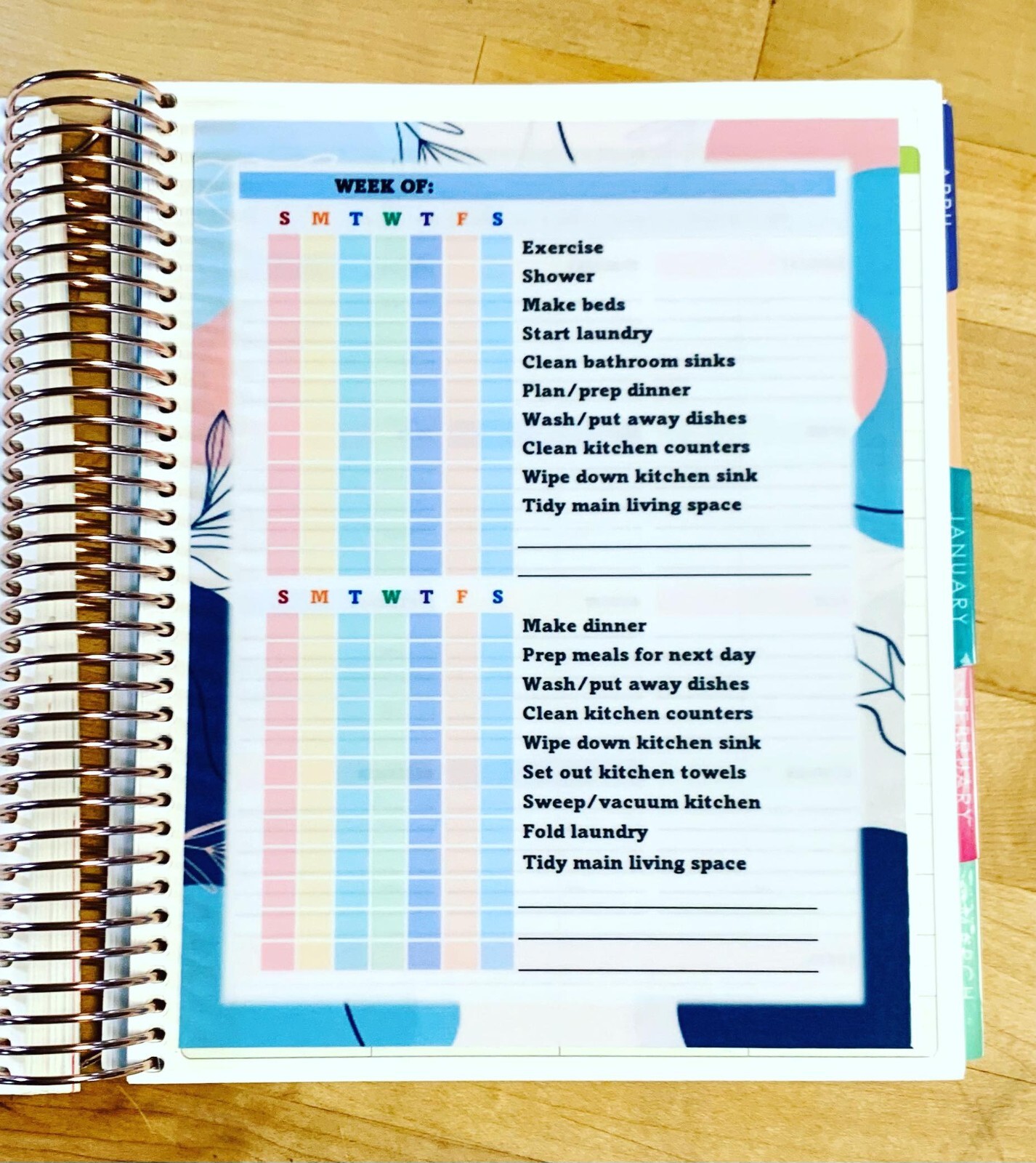 Daily Habits Personal Goals Two Sided Dashboard for use w Erin Condren Planner