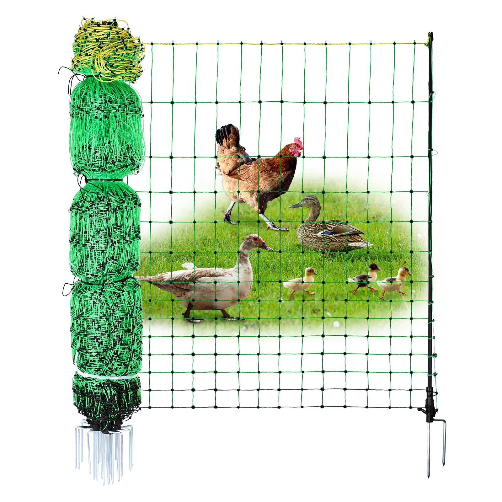 Electric Poultry Chicken Netting Fence Double Spiked Posts 48″ X 164′ 1PK