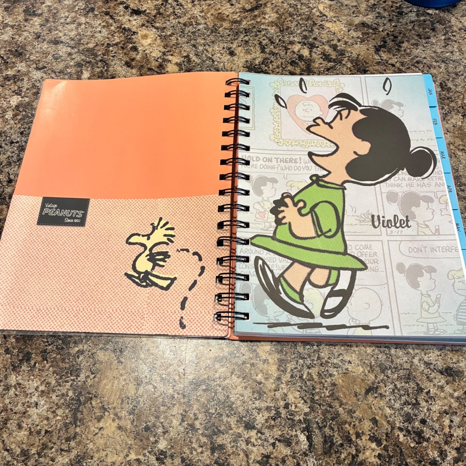 Vintage Peanuts Snoopy 2015 Weekly Monthly Planner Mead Spiral Organizer Pink