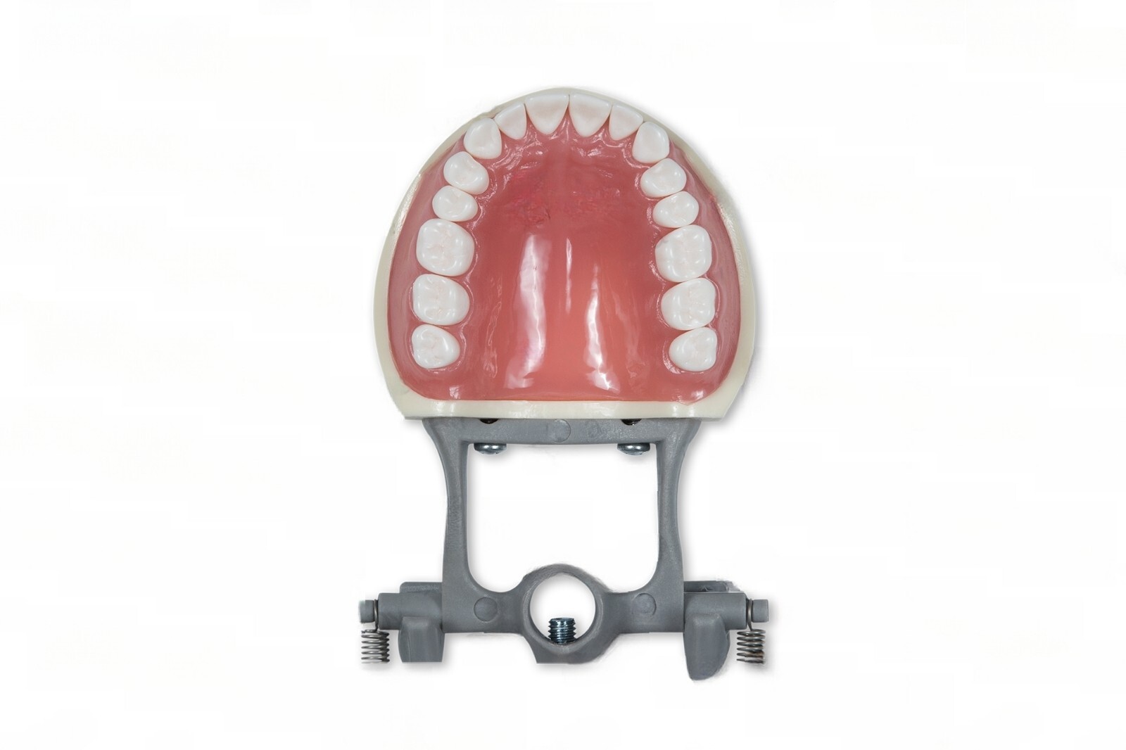 DENTAL TYPODONT OM 200 TEACHING MODEL W/ 2 EXTRA SETS OF TEETH (96 TOTAL TEETH)