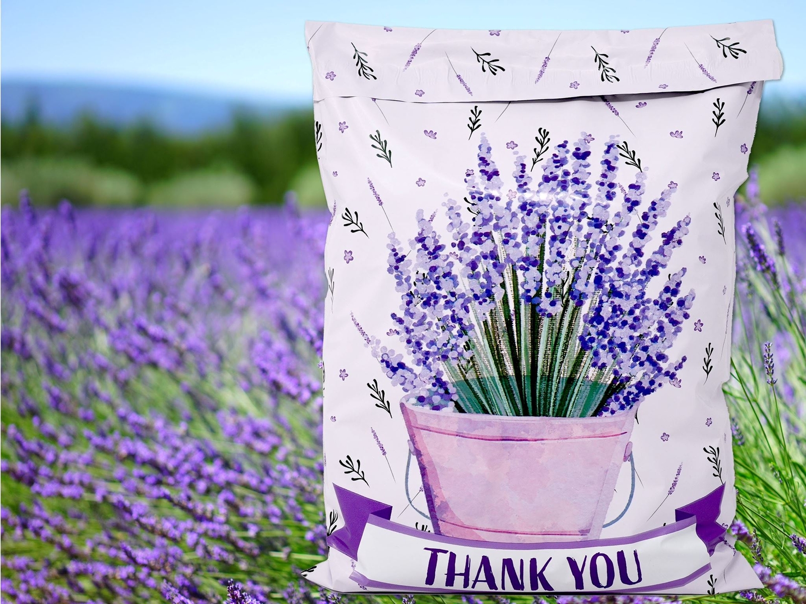 10×13 Lavender Plant Thank you Poly Mailers, Self Sealing Purple Spring Summer M