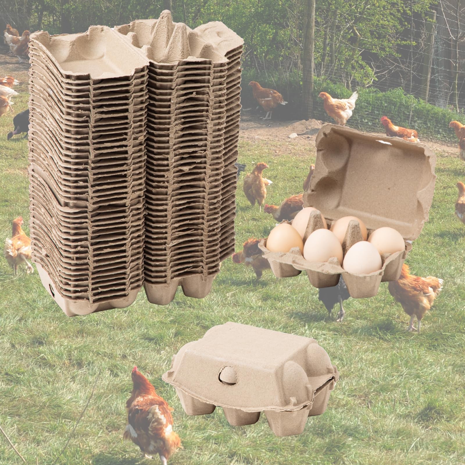 40 Pack Egg Cartons Cheap Bulk, 6 Count Egg Storage Containers Holder, Sturdy Na