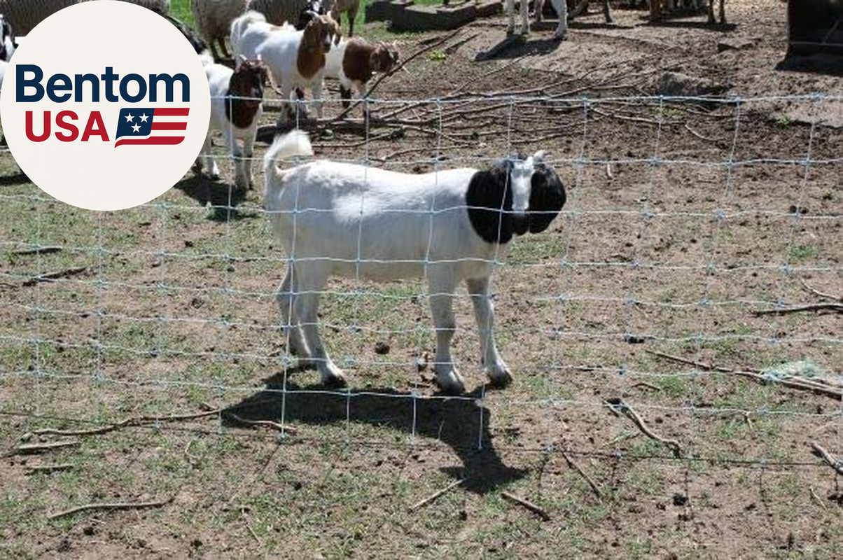 42″ X 164′ Electric Netting All-In-One Solar Kit for Goats, Sheep, Gardens, Beeh