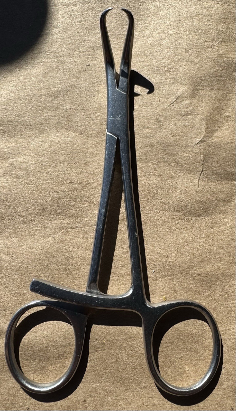 Surgical Backhaus Towel Clamp Locking Forceps 5” Veterinary Instruments Germany