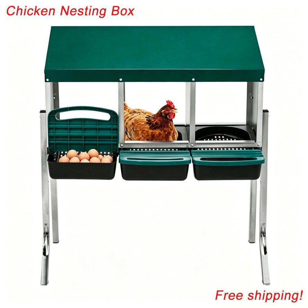 Wall Mount Chicken Nesting Laying Egg Brooder Box Roll-Away Tray 3 Compartment