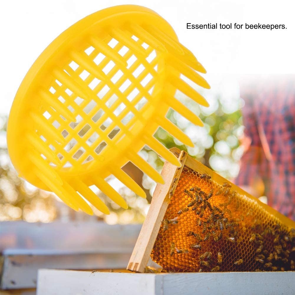 6Pcs Plastic Queen Bee Cage Rearing Box Beekeeping Queen Catcher Isolator