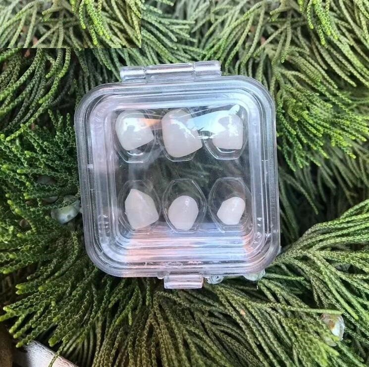 Dental Denture Hinged Display Box Film Membrane Storage Case False Teeth Case
