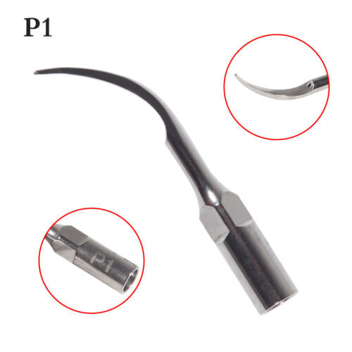 Dental Ultrasonic Piezo Scaler Perio Tips P1 Fit EMS/Cavitron Handpiece XBYUS