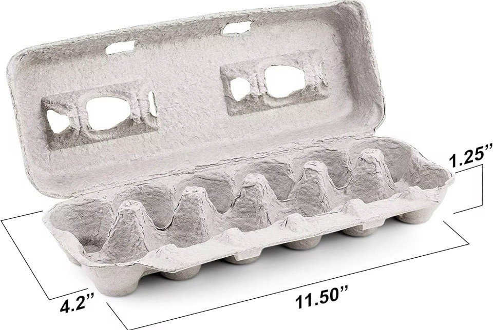 Egg CartonsNatural Pulp Egg Cartons Bulk Blank 12 Eggs Per Carton 20 PACK Strong