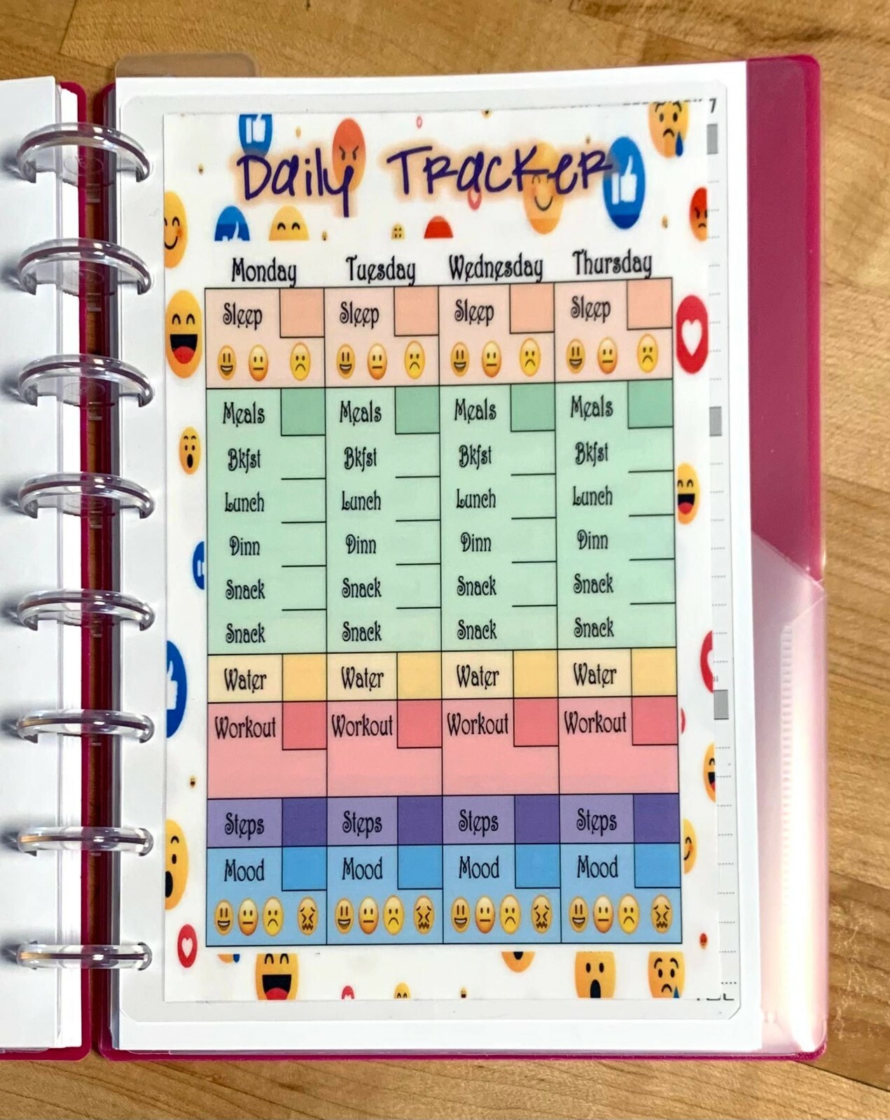 Daily Tracker DASHBOARD Insert FOR USE with the TUL/Arc (8 disc) Planner