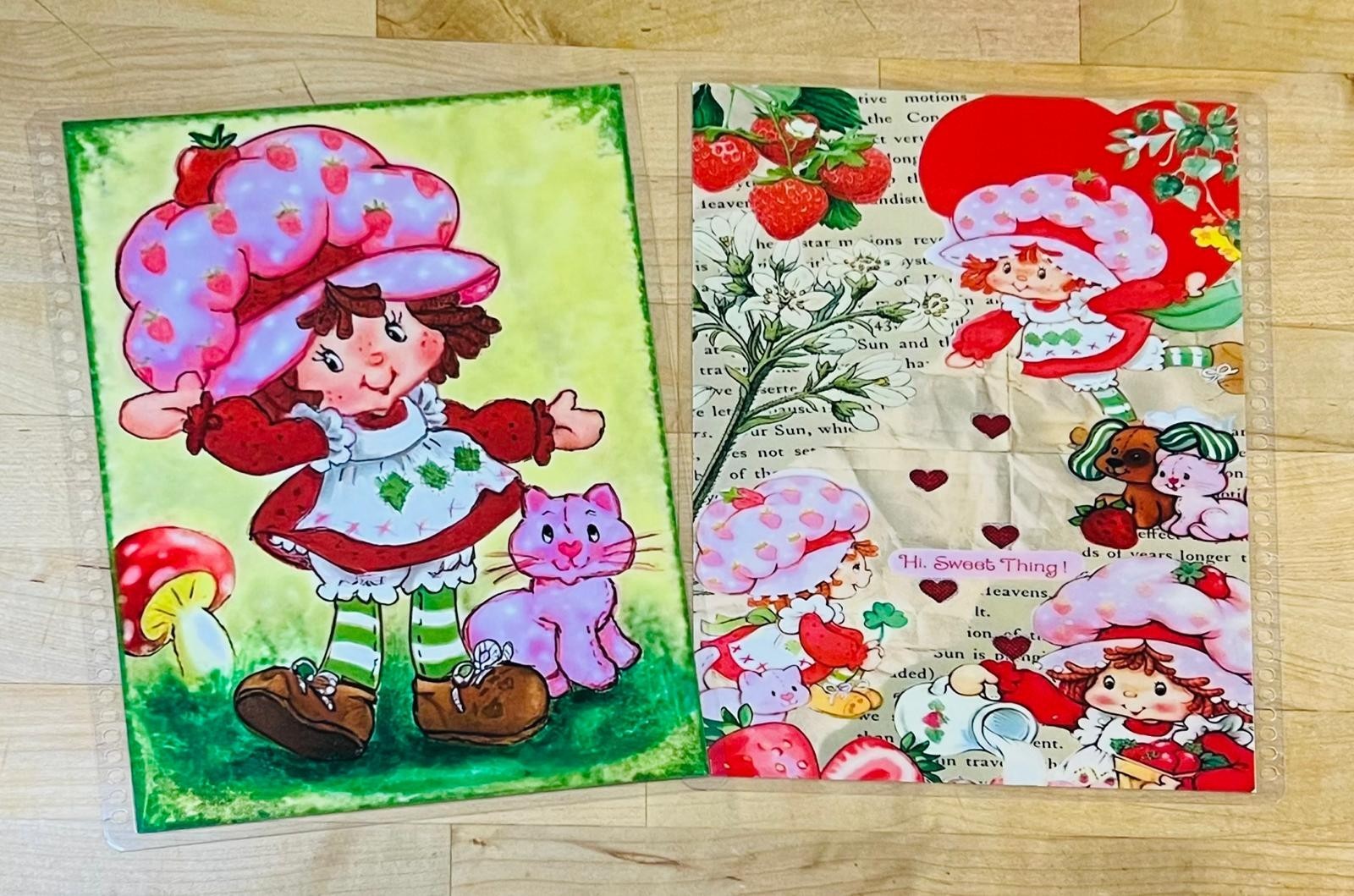 Strawberry Shortcake Retro Vintage Cover Set 4 use w/ Erin Condren Life Planner~