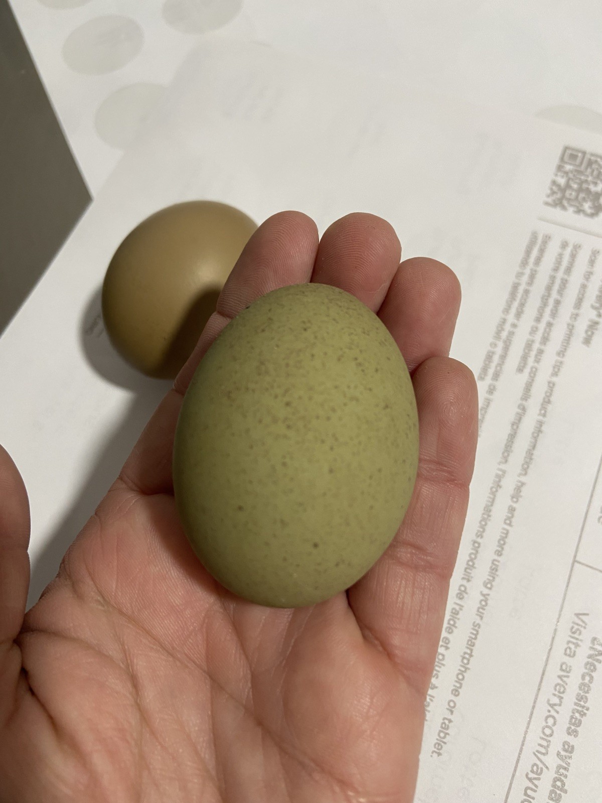 (6) F1, F2, F3 Speckled Olive Moss Egger Hatching Eggs
