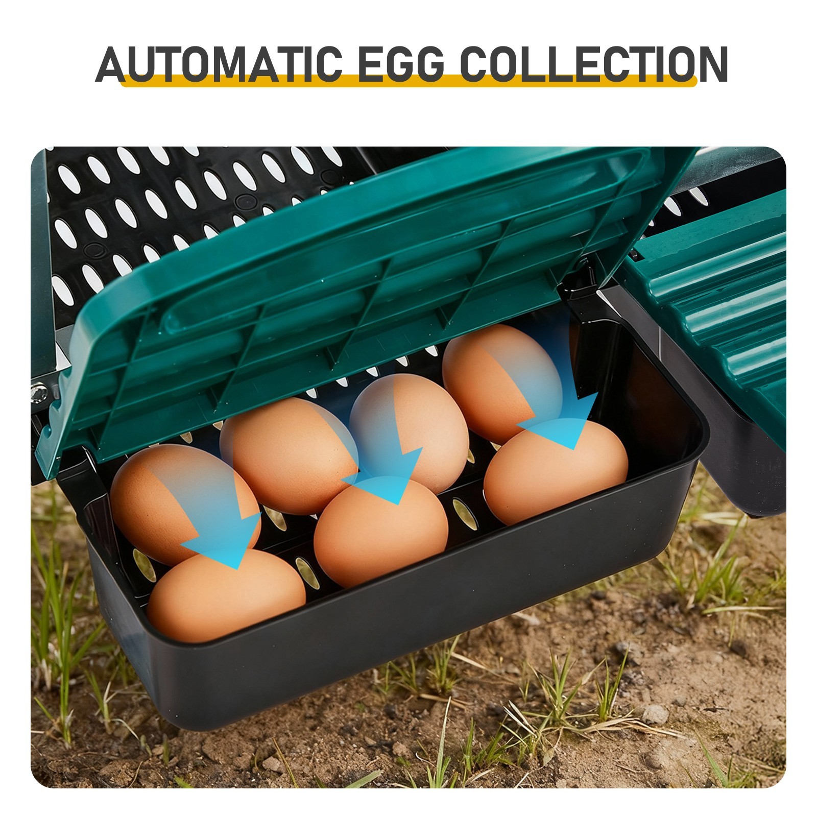 Wall Mount Chicken Nesting Laying Egg Brooder Box Roll-Away Tray 3 Compartment