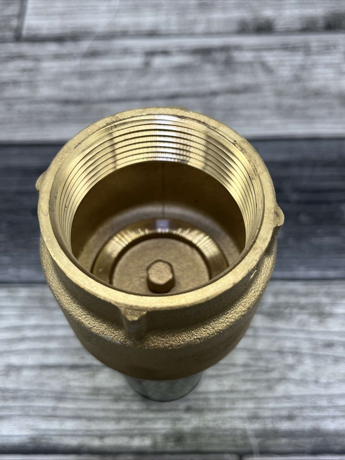 Foot Valve 1-1/2in #148119 Star Water Systems {132}