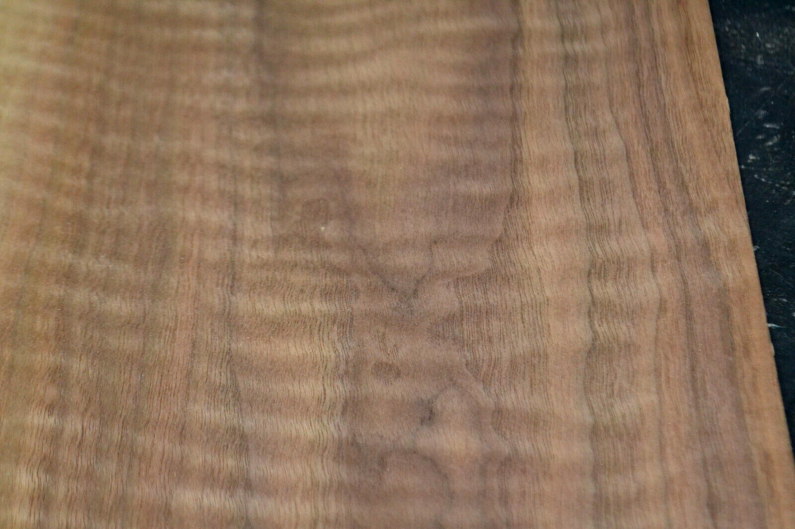 Curly Walnut Raw Wood Veneer Sheet 8.5 x 39 inches 1/42nd thick N5942-72