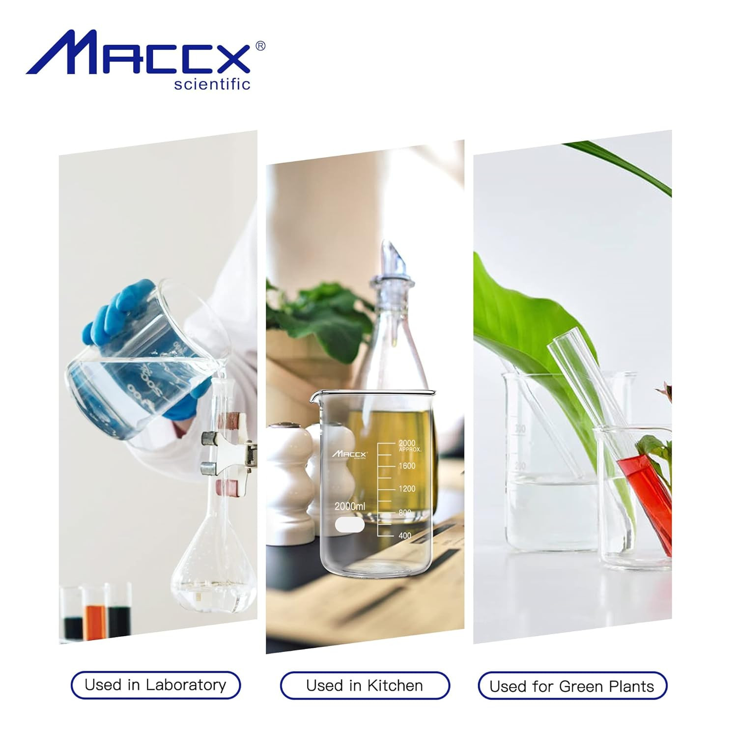 1.7Oz Sturdy Glass Beaker, Heavy-Duty Lab Beaker, 3.3 Borosilicate Griffin Low
