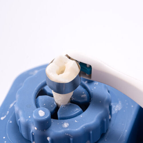 Adjust Dental Premolar Restoration Bands Metal Pro Matrix Bands Pre Formed