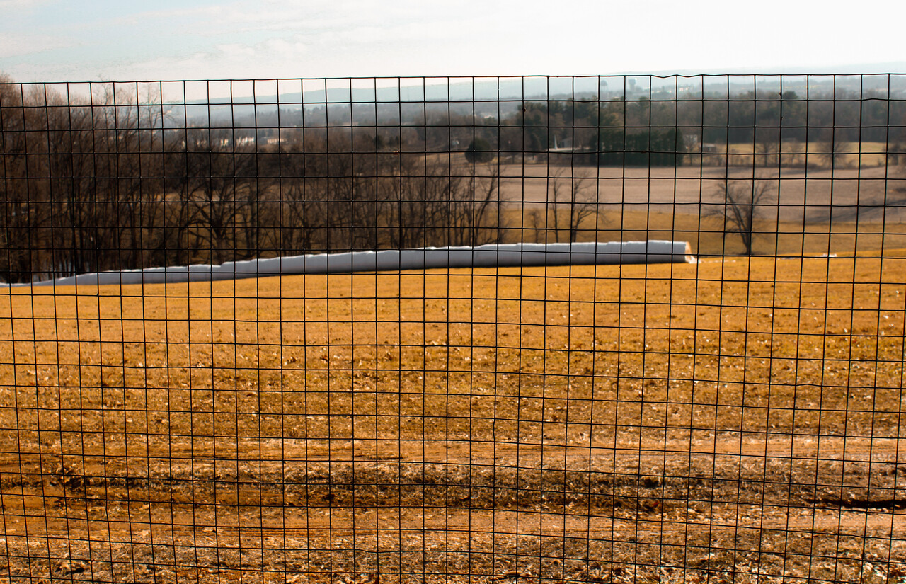 4’x100′ 16ga. Galv Steel Black PVC Coated Welded Wire 2»x2» Mesh Fence Roll