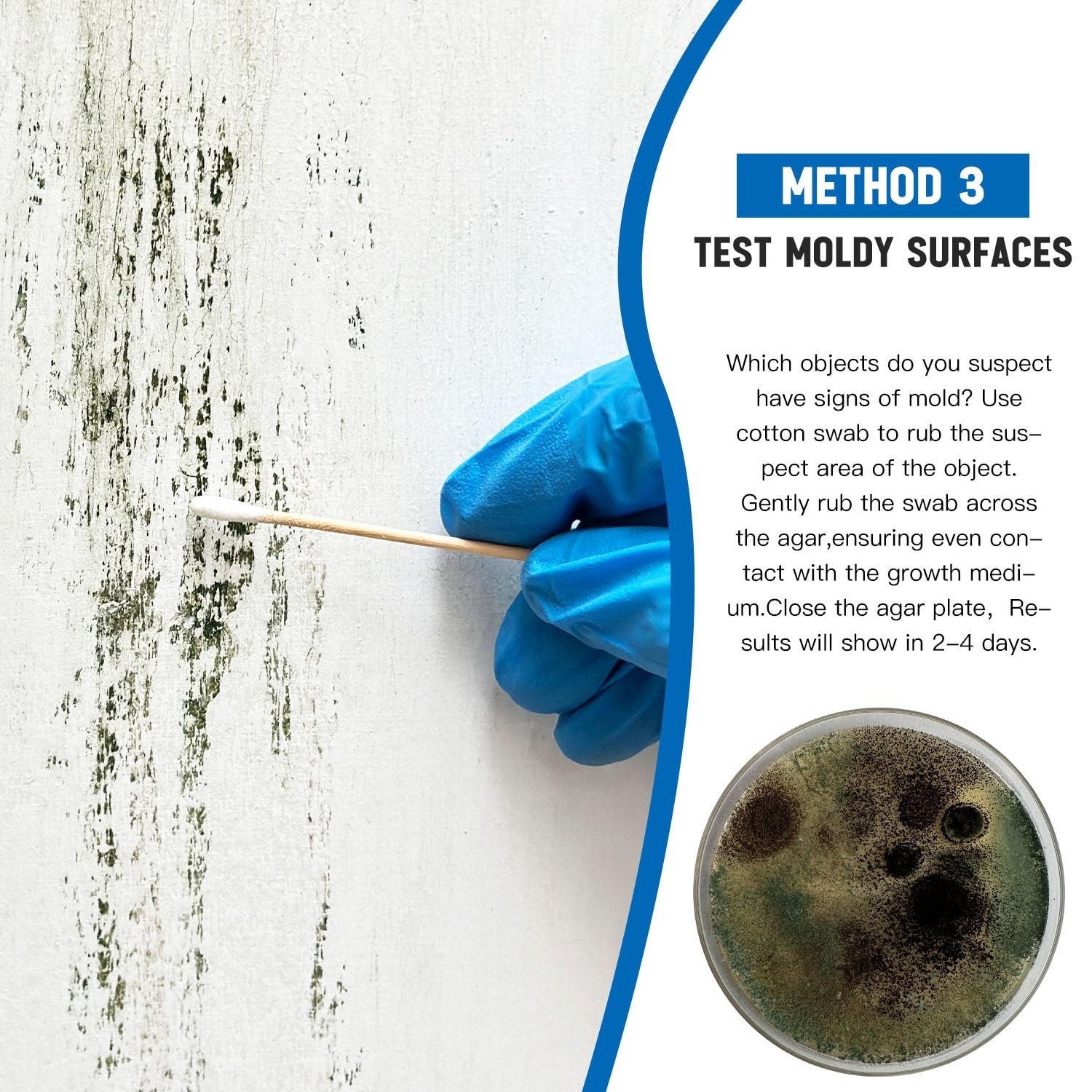 Home Mold Kit – 6 Tests, Black Mold Detector, Free Lab Analysis