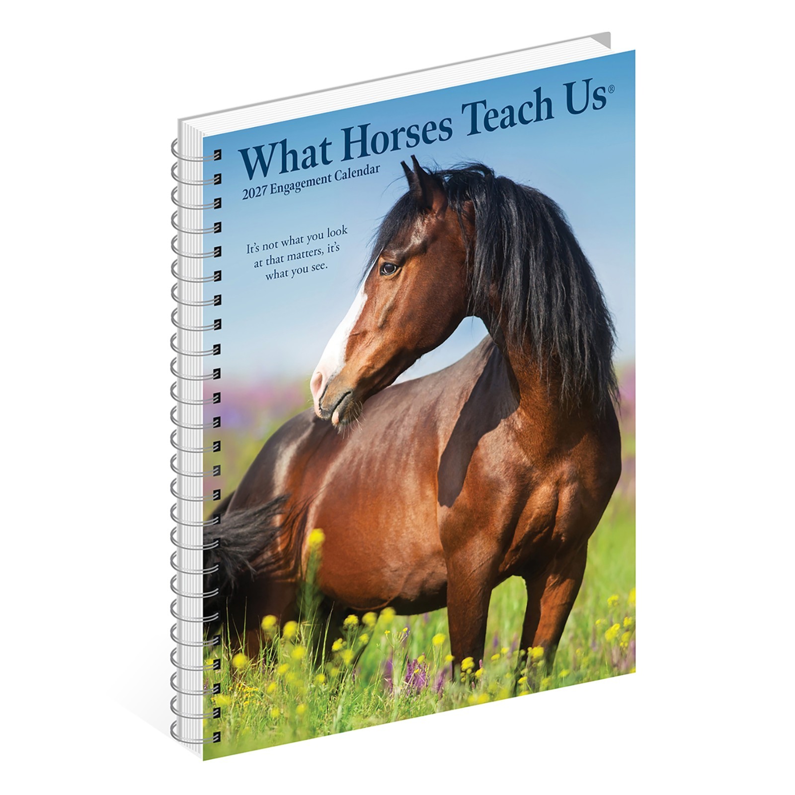 What Horses Teach Us 2027 6.5″ x 8.5″ Engagement Calendar