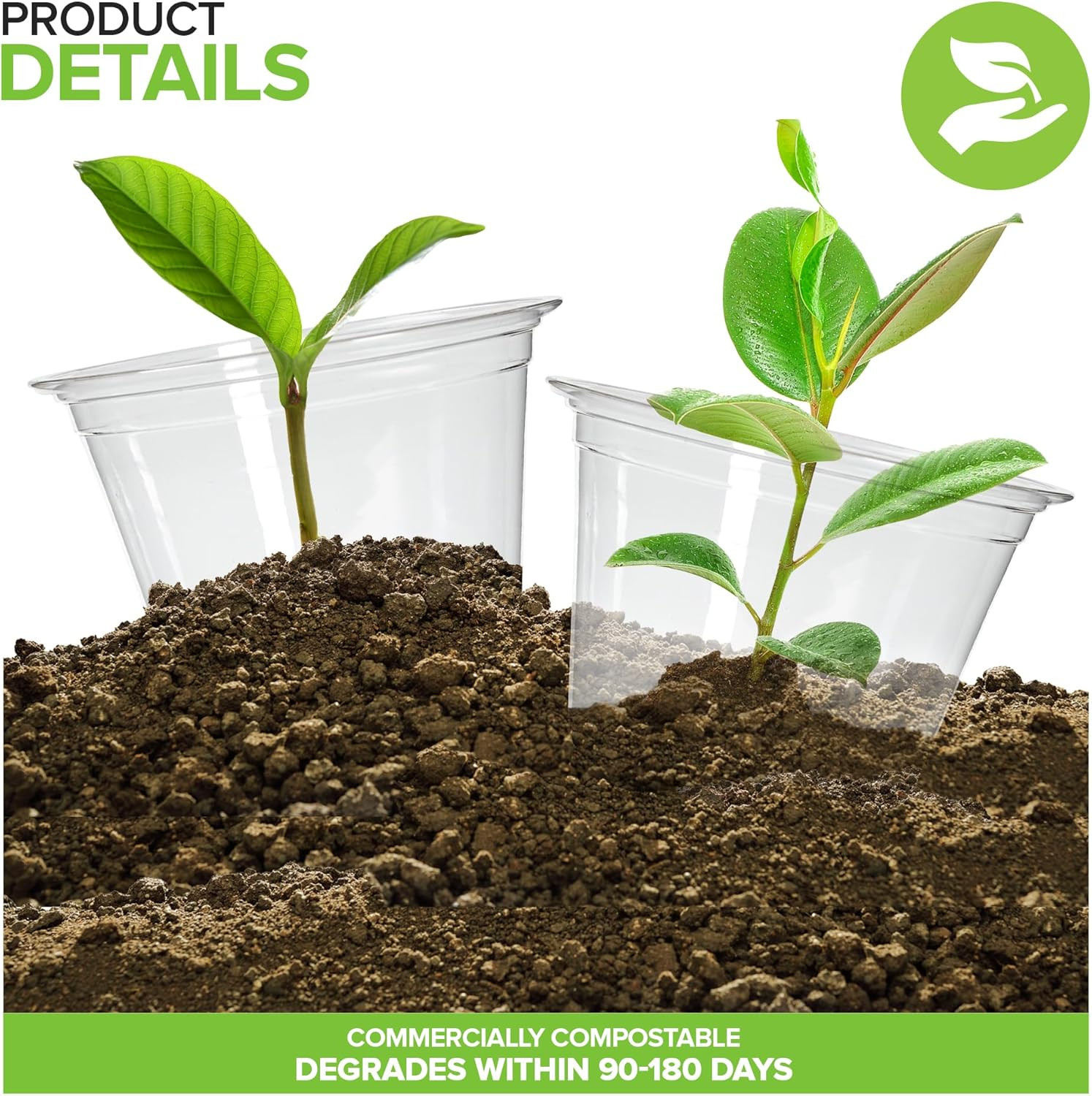 Stock Your Home 9 Oz Commercially Compostable Cold Cups (50 Pack), Eco Party Cup